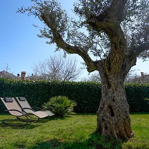  Appartamento Palm View
